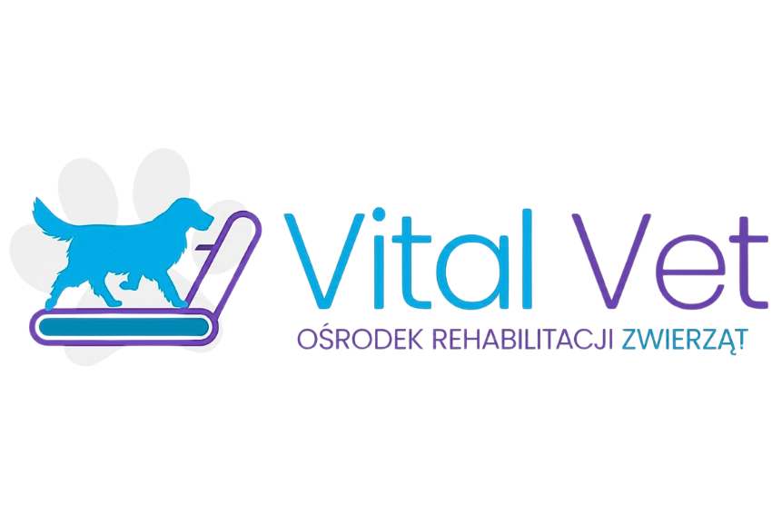 Untitled design (16)