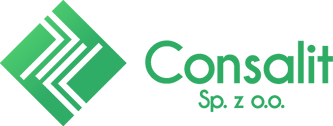 logo-consalit